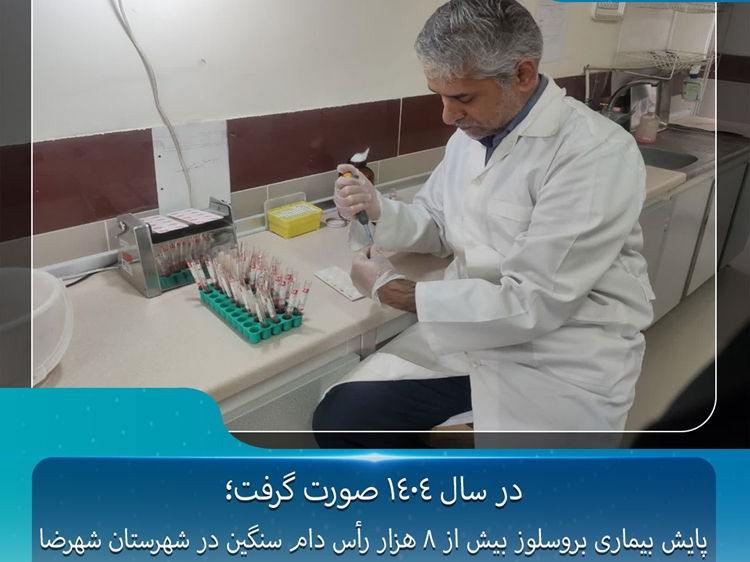 پایش بیماری بروسلوز در نزدیک به 9 هزار رأس دام سنگین در شهرستان شهرضا